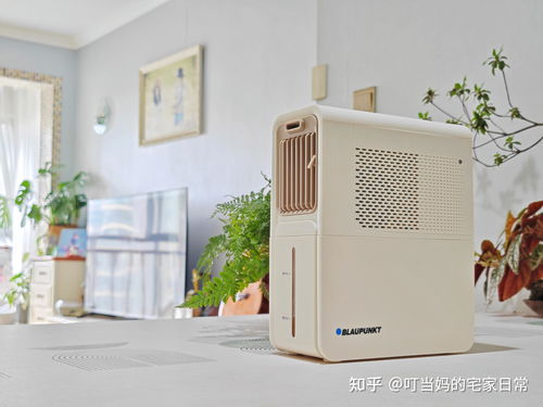 夏季来临,厨房降温怎么办 空调 风扇 凉霸哪种更好用 各自的优缺点分别在哪里 哪种降温设备最好用 一篇文章告诉你